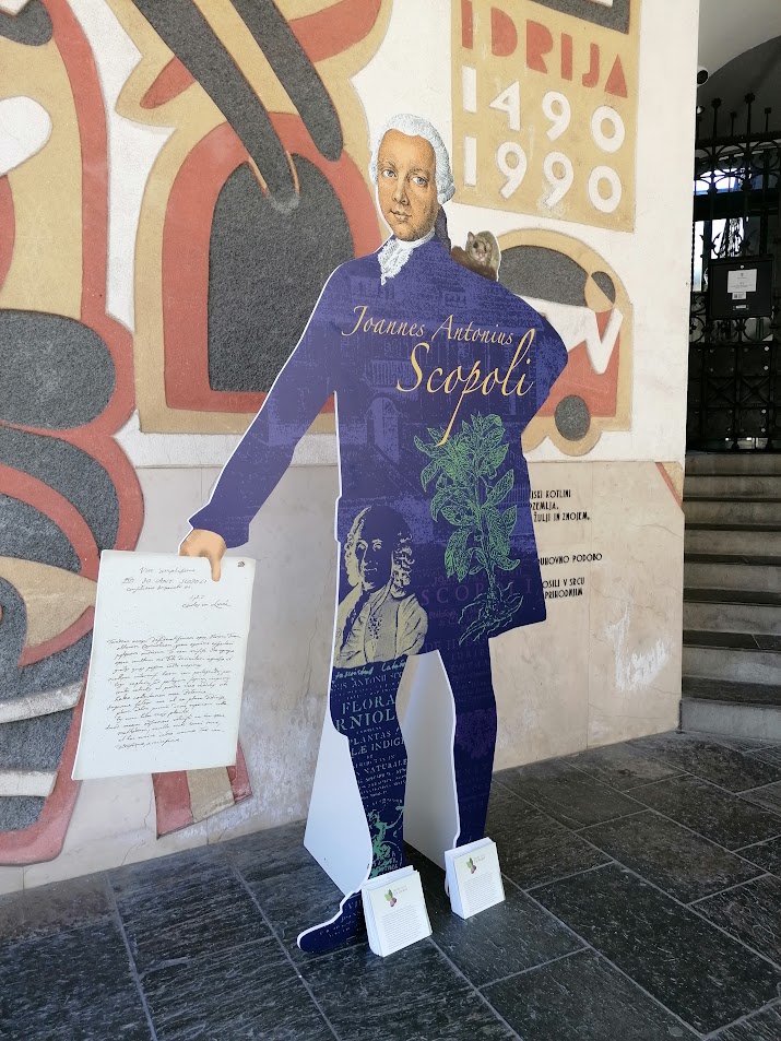 06d_Scopoli pred mestno hišo